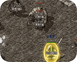 1.76小极品传奇